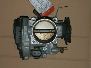 Drosselklappe elektrisch